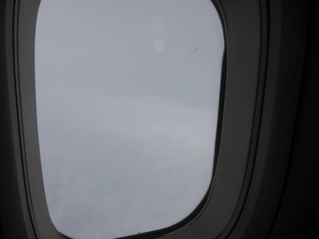 IMG_0873_resize.JPG